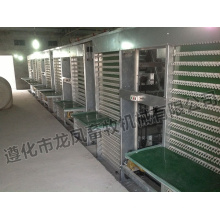 H Type Best Price Poultry Farm Egg Layer Chicken Cages